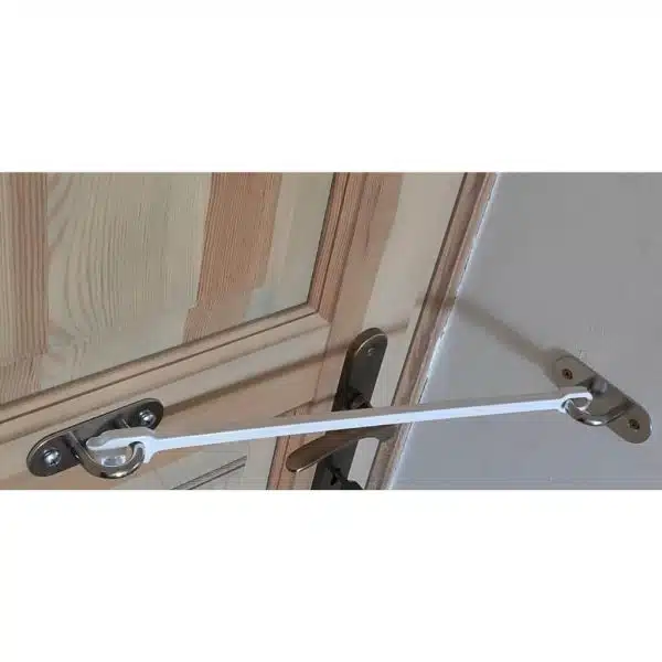 Door strut