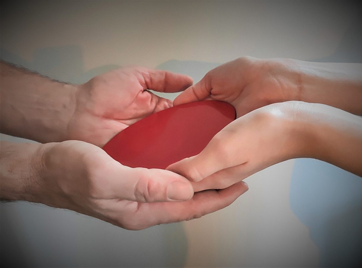 Balistické Srdce – Heart (hero)