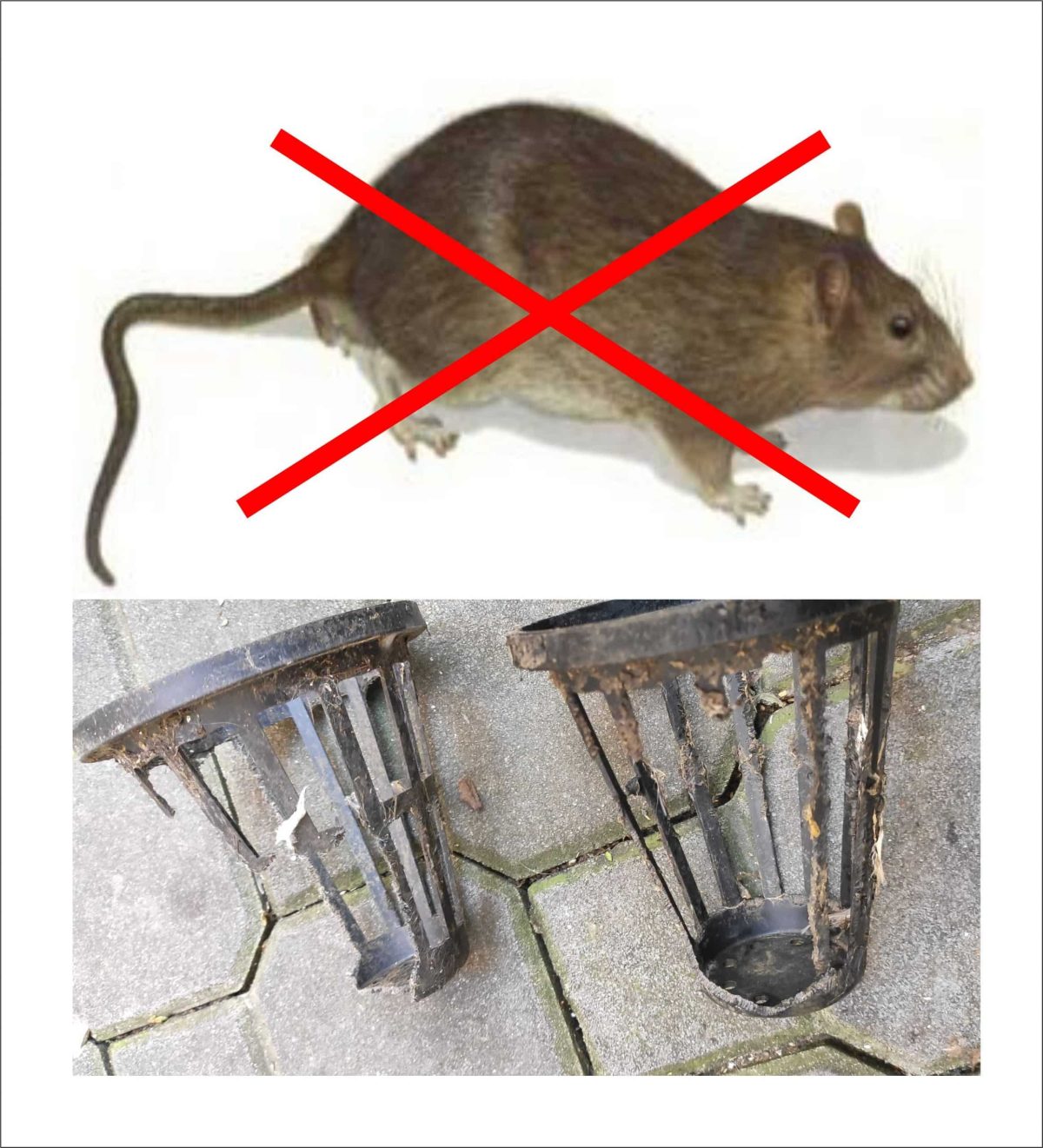 Nerezový koš - geiger